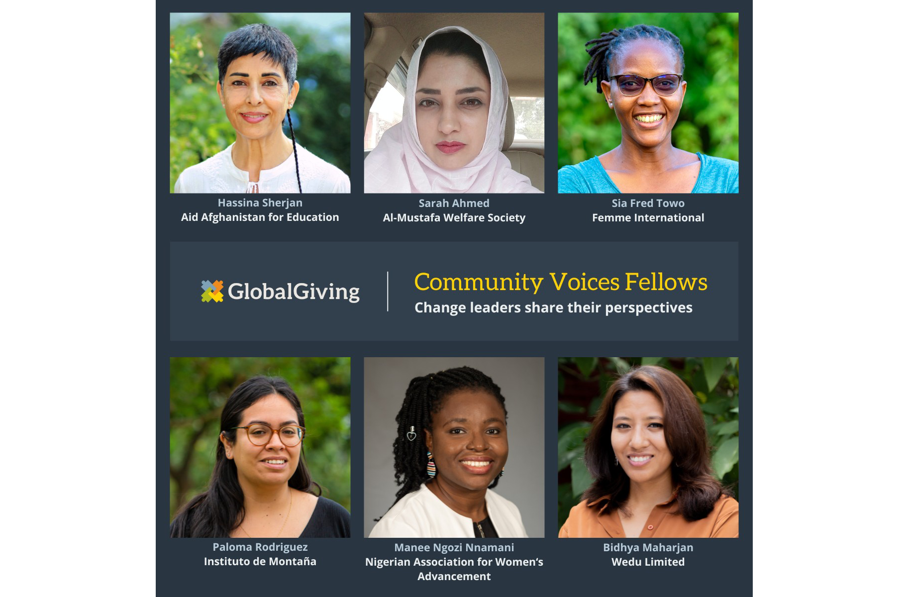 Community Voices Fellows