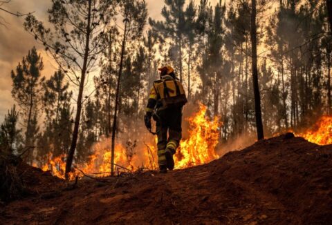 Wildfire Emergency Response Fund